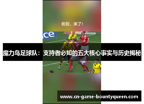 魔力鸟足球队：支持者必知的五大核心事实与历史揭秘
