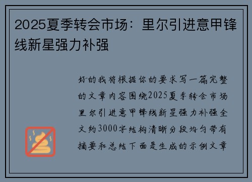2025夏季转会市场：里尔引进意甲锋线新星强力补强